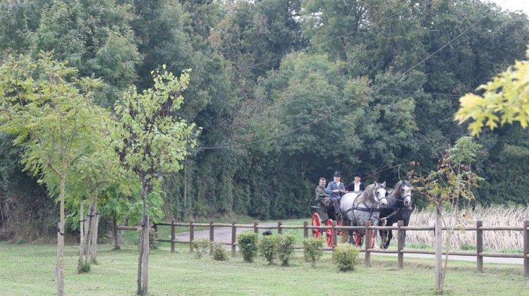 Un attelage avec deux chevaux transportant des personnes en calèche au sentier de la Baïse